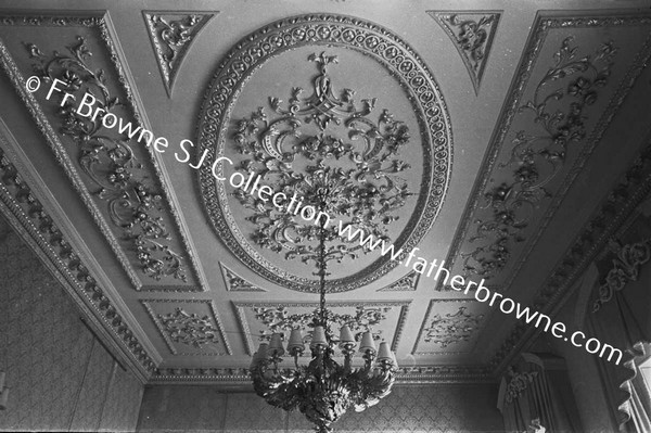 ARAS AN UACHTARAIN DRAWING ROOM CEILING